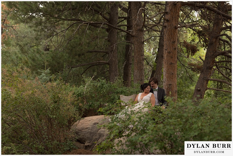 denver botanic gardens wedding colorado woodland mosaic bride groom snuggling together in pine trees on a bench