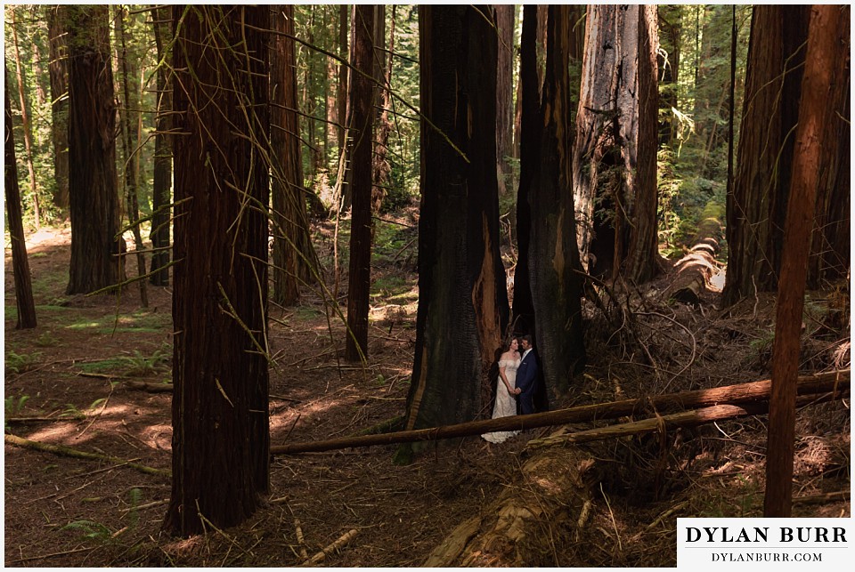 redwood forest wedding elopement avenue of the giants california bride and groom standing inside giant split tree