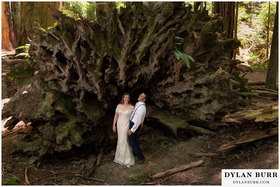 redwood forest wedding elopement avenue of the giants california bride and groom standing in front of tree laughing