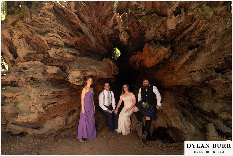 redwood forest wedding elopement avenue of the giants california bridal party inside fallen tree stump