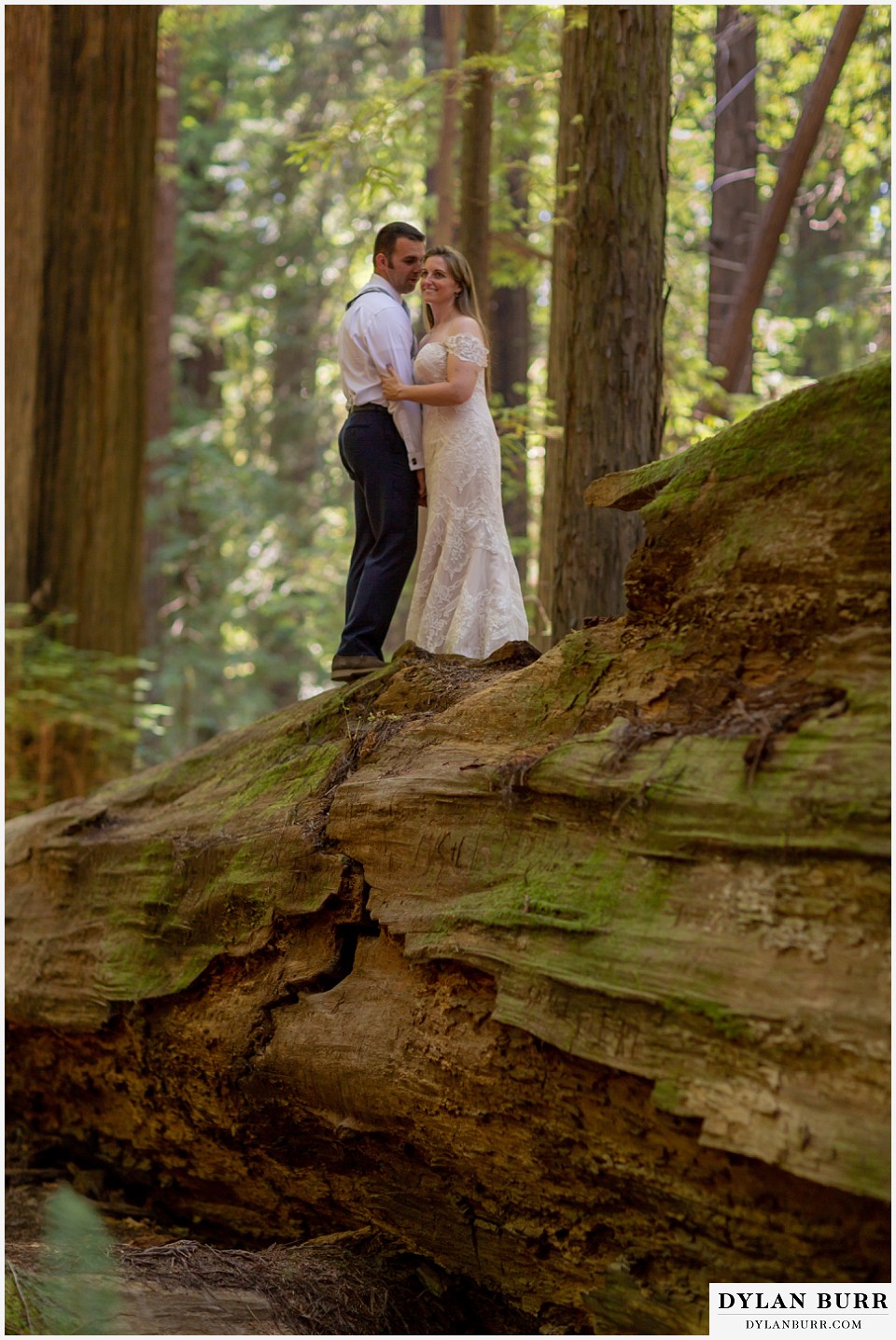 redwood forest wedding elopement avenue of the giants california bride and groom standing together on top of a giant tree