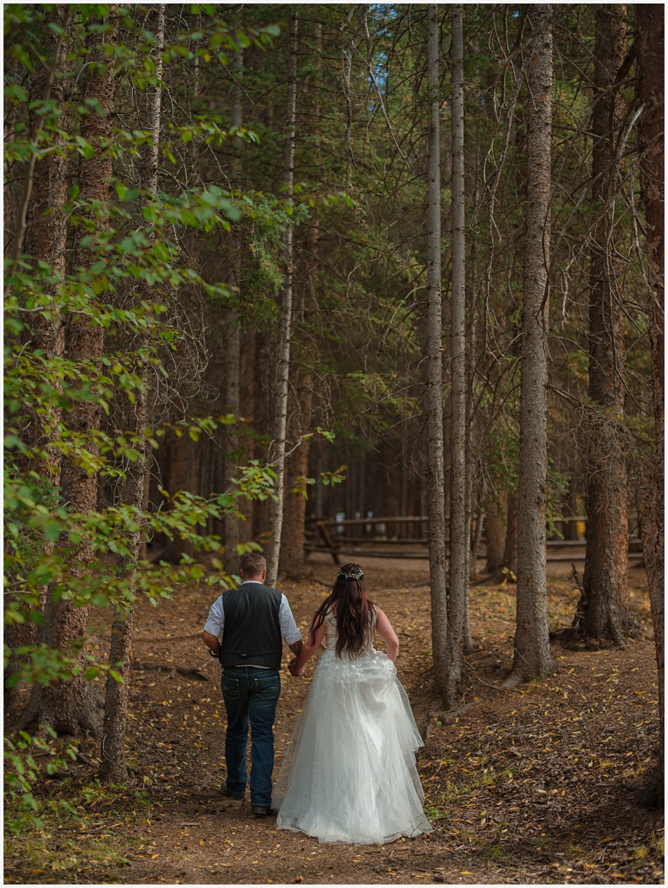 adventure elopement western colorado walking together in the tall douglas fir pine trees