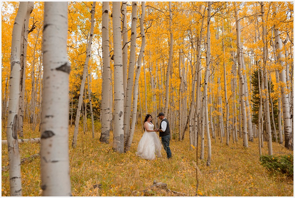 adventure elopement western colorado bride and groom in aspen grove