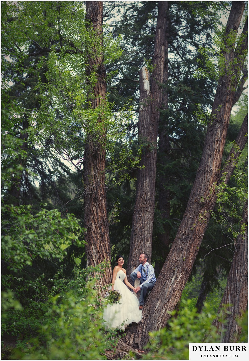 aspen wedding elopement bride and groom in large tree