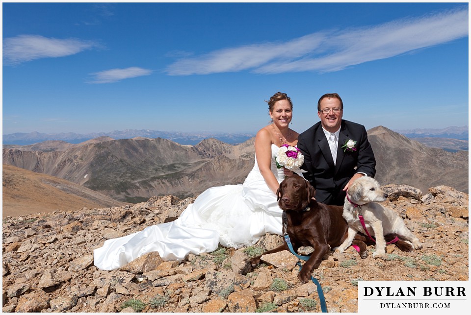 breckenridge 4wd adventure wedding bride and groom with dogs on mountain top