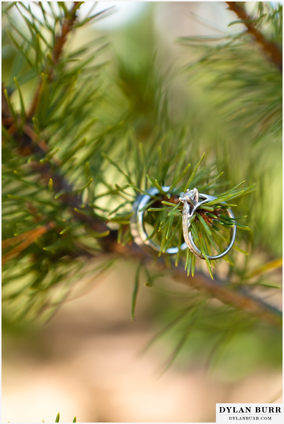breckenridge 4wd adventure wedding rings in pine tree