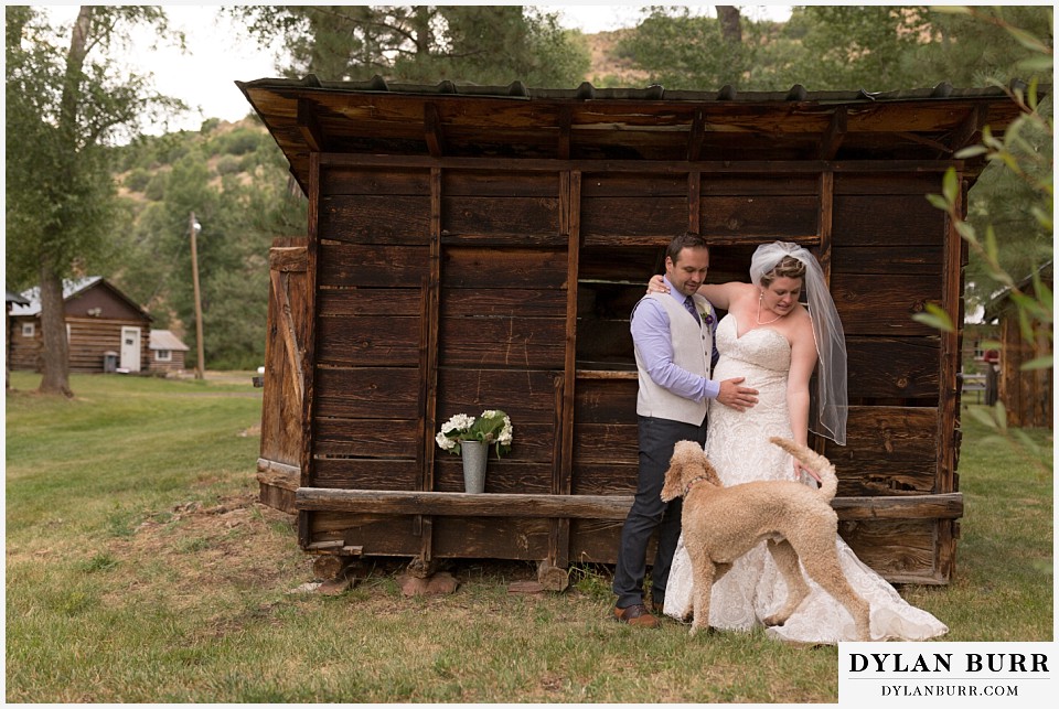 buford lodge wedding buford colorado meeker bride and groom with their dog labradoodle