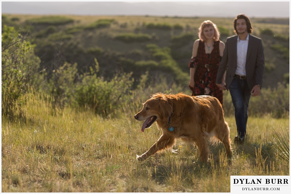 castle rock colorado engagement session golden retriever leading the hike