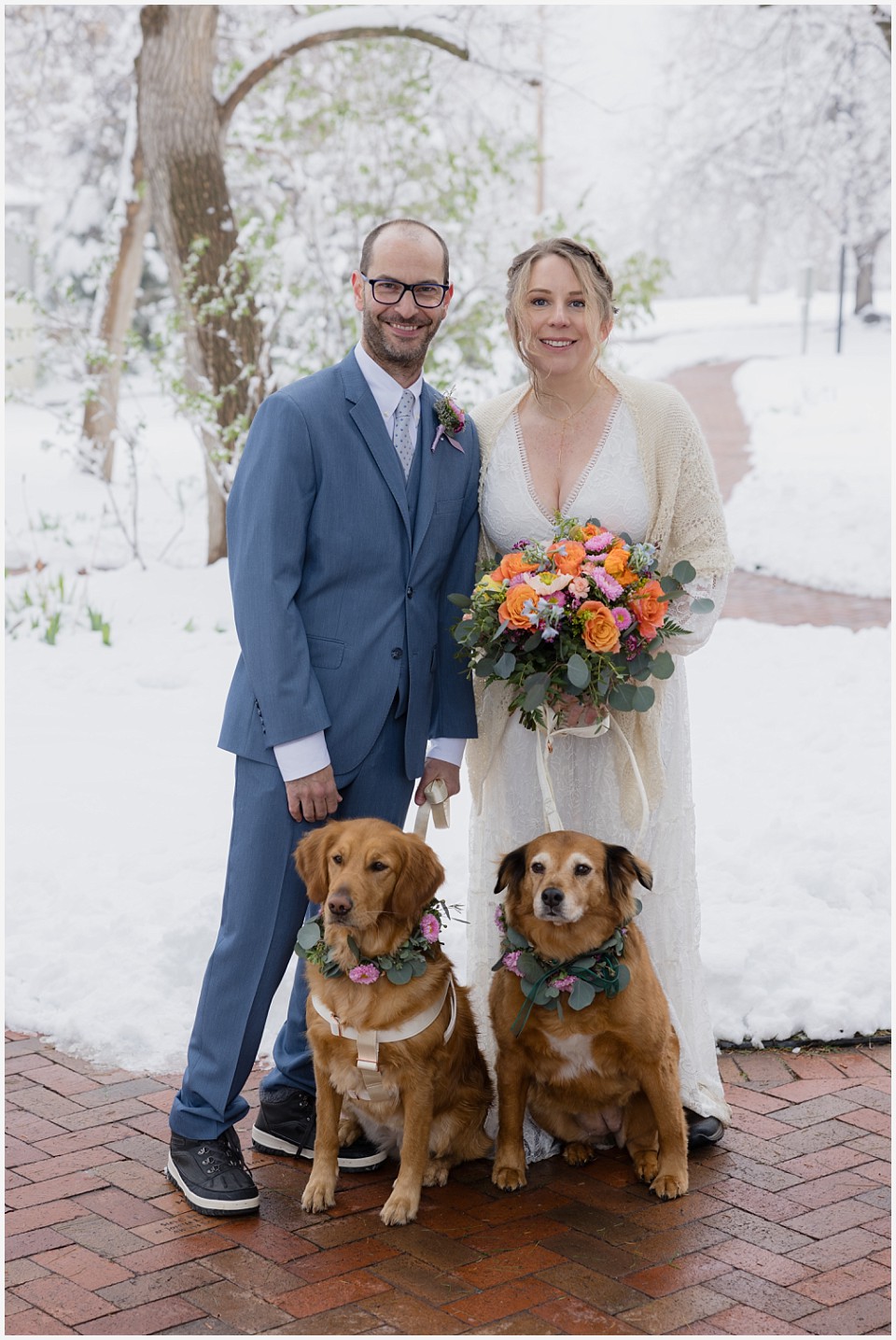 chautauqua community house wedding couple with their golden retriever dogs