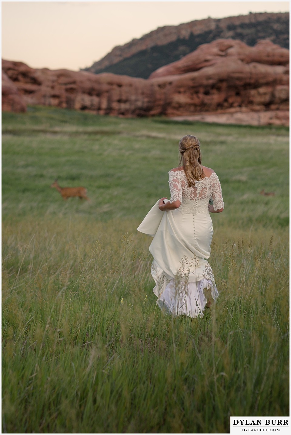colorado outdoor bridal portrait session with deer