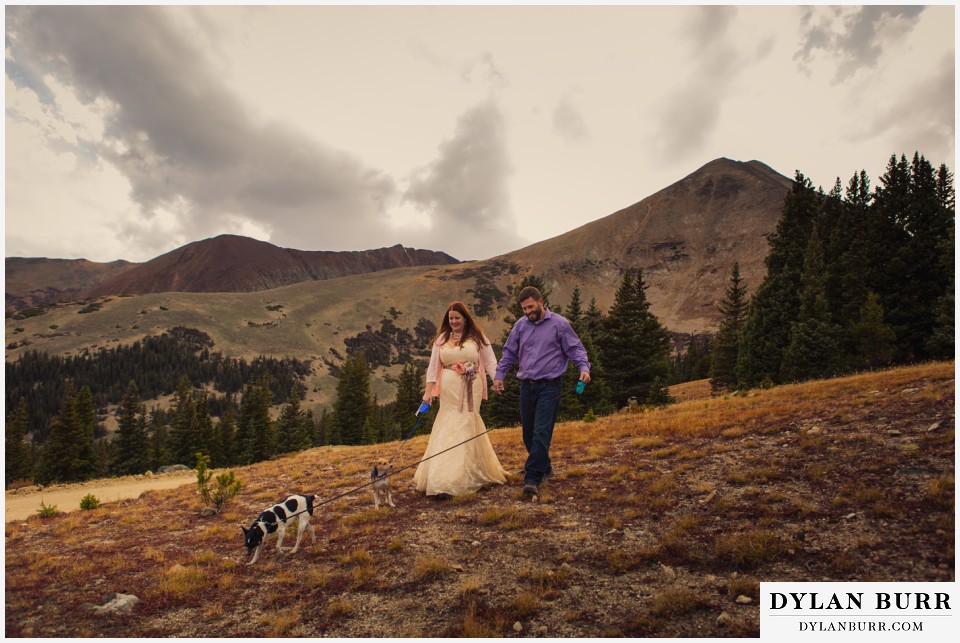colorado wedding photographer high alpine mountain wedding walking dogs