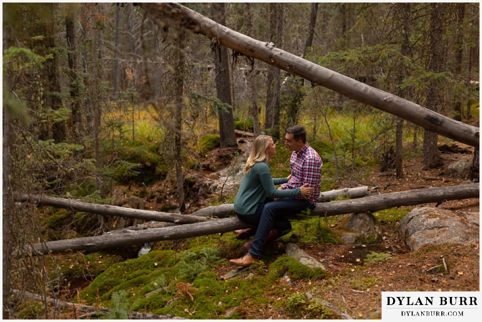 colorado mountain engagement session couple sitting in forest near fallen trees