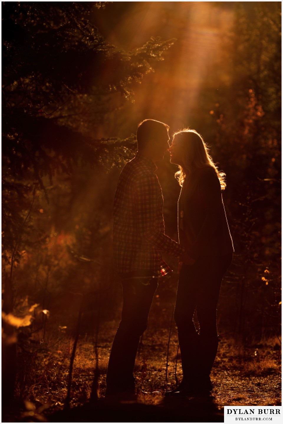 colorado mountain engagement session silhouette sun rays cutting through pine trees