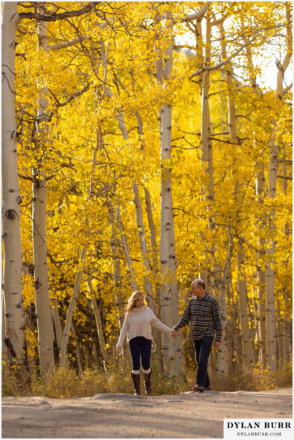 colorado engagement session in mountains with huge aspen trees