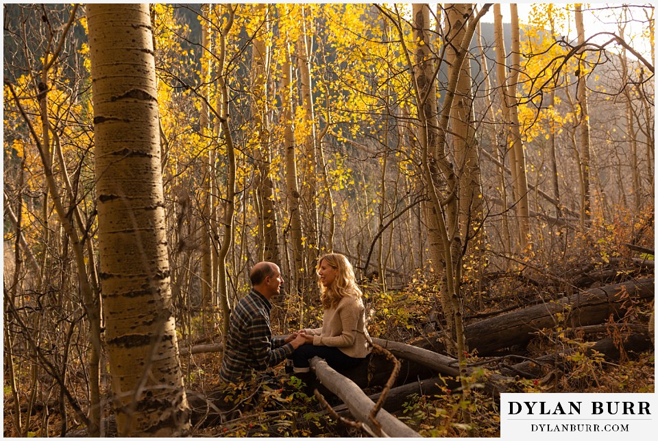 colorado engagement session in mountains sunlit aspen trees