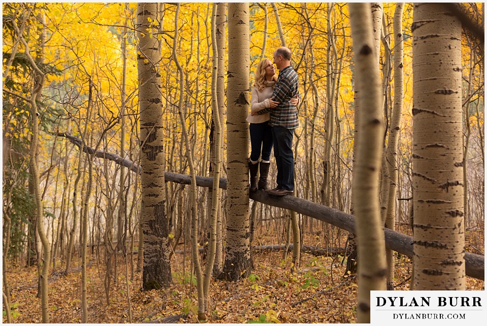 colorado engagement session in mountains on fallen aspen tree in autumn