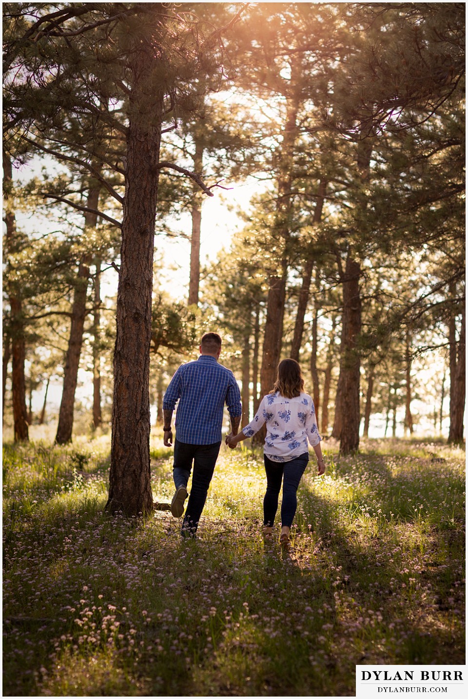 golden colorado mountain enagagement photo session couple walking hand in hand into the pine tree forest