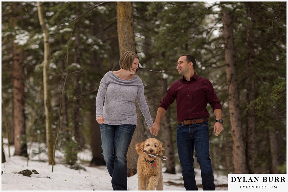 colorado mountain engagement session labradoole dog in photos carrying a stick