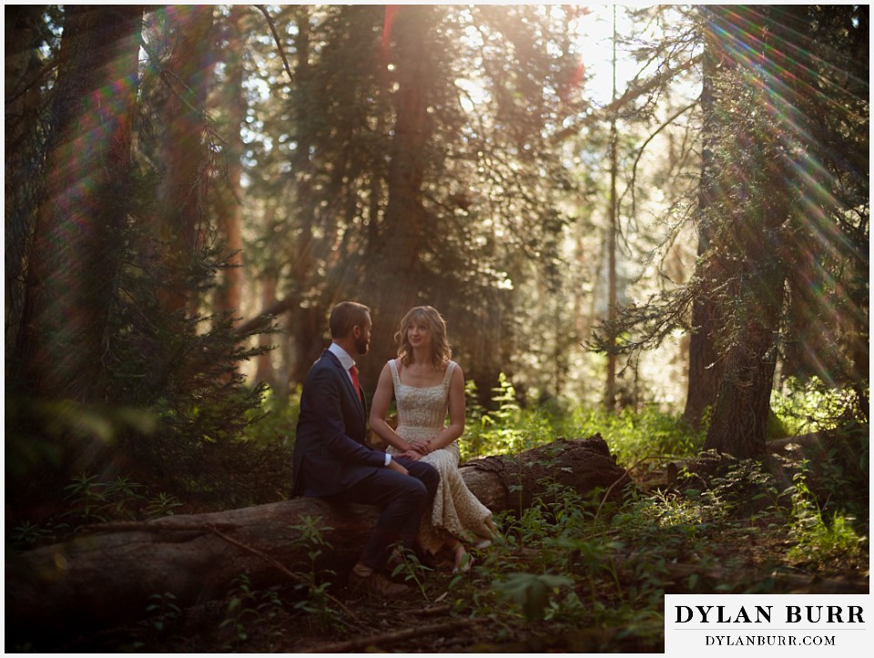 crested butte wedding elopement taking a moment together in a pine tree forest