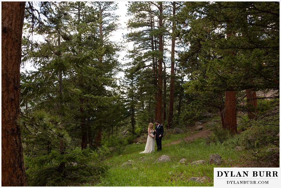della terra mountain chateau wedding colorado rocky mountain national park wedding rmnp elopement wide view of bride and groom surrounded by large pine trees