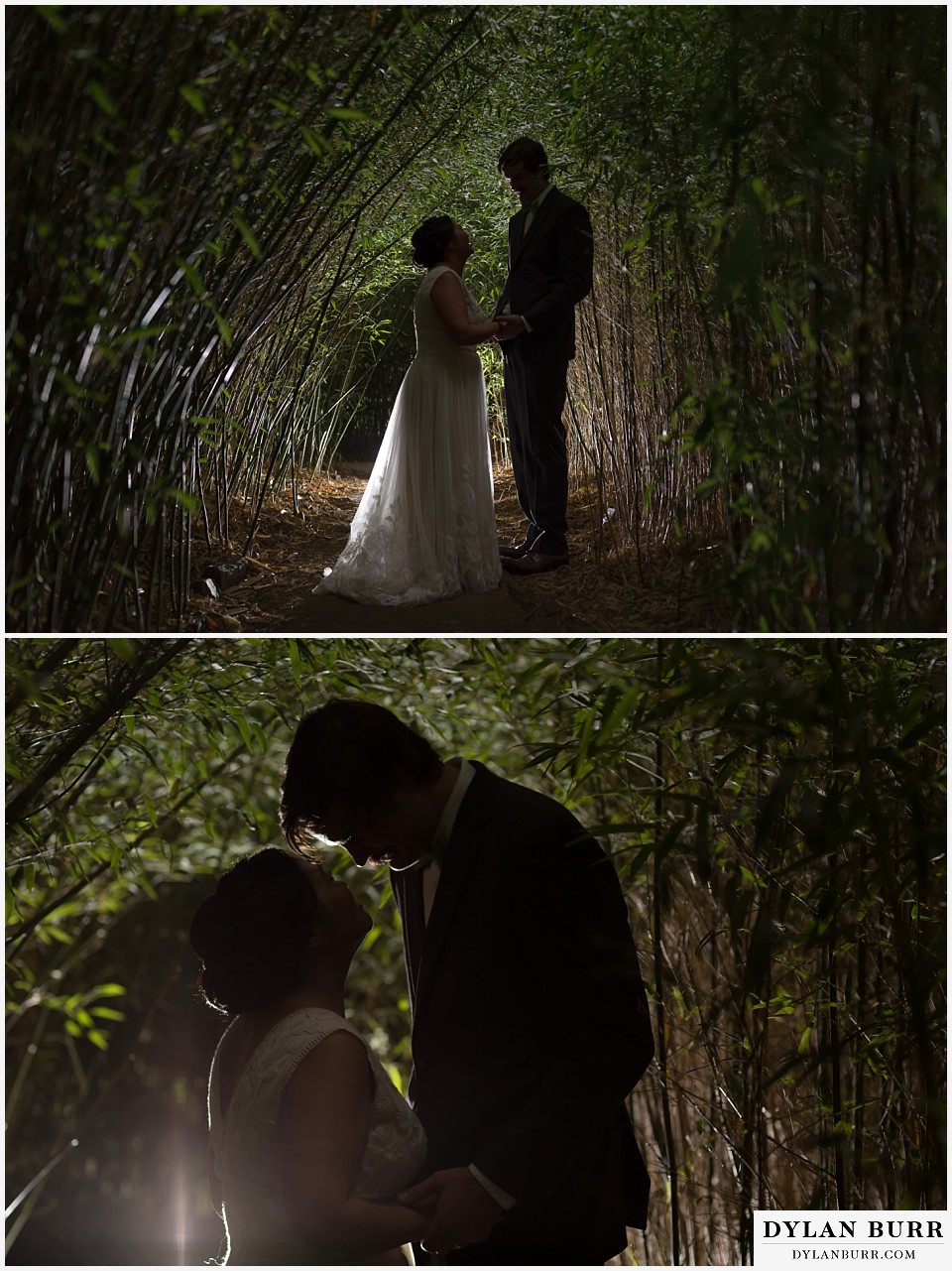 denver botanic gardens wedding colorado woodland mosaic bride groom in bamboo tree tunnel
