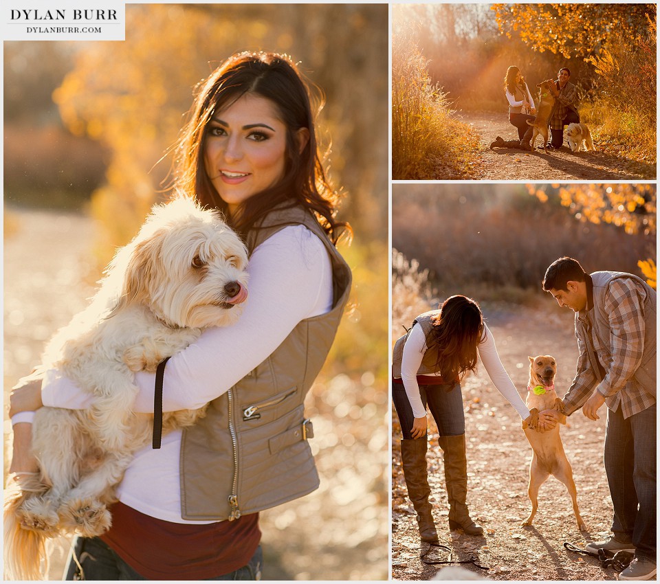 denver engagement photographer with dogs