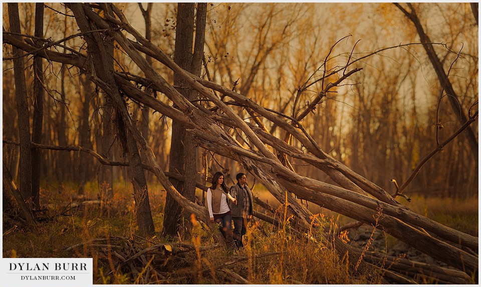 denver engagement photographer woods at sunset