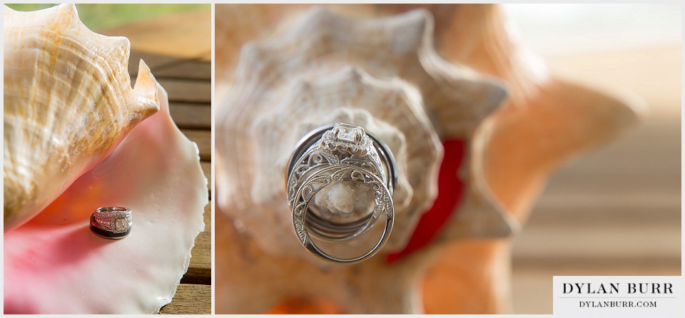 destination beach wedding conch shell ring shot