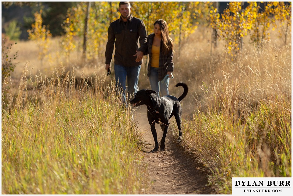 engagement photos golden colorado photographer couple walking with their dogs in mountains