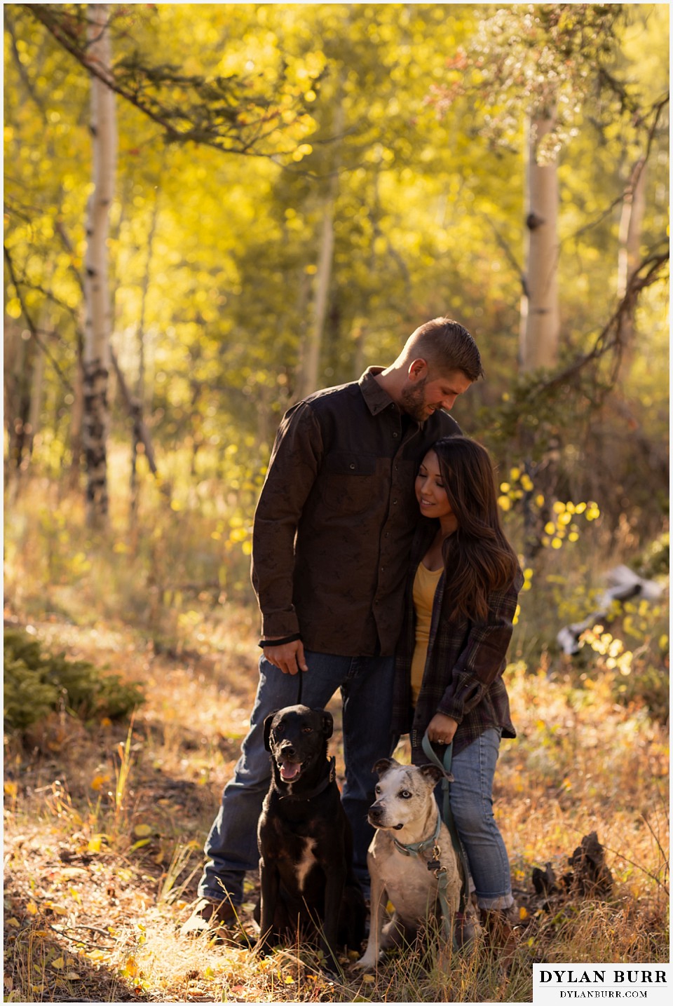 engagement photos golden colorado photographer engaged couple standing with their two dogs in mountains
