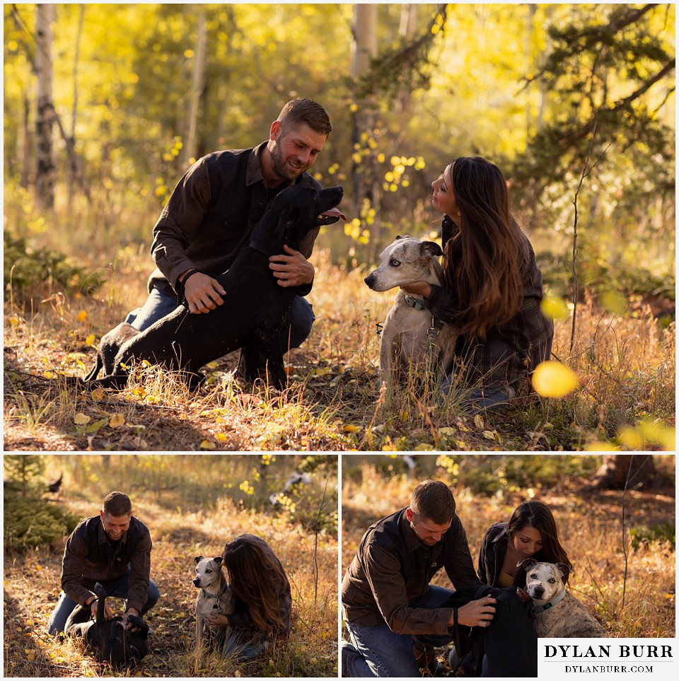 engagement photos golden colorado photographer couple playing with their two rescue dogs