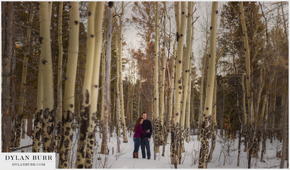 estes park engagement photos in winter aspen trees