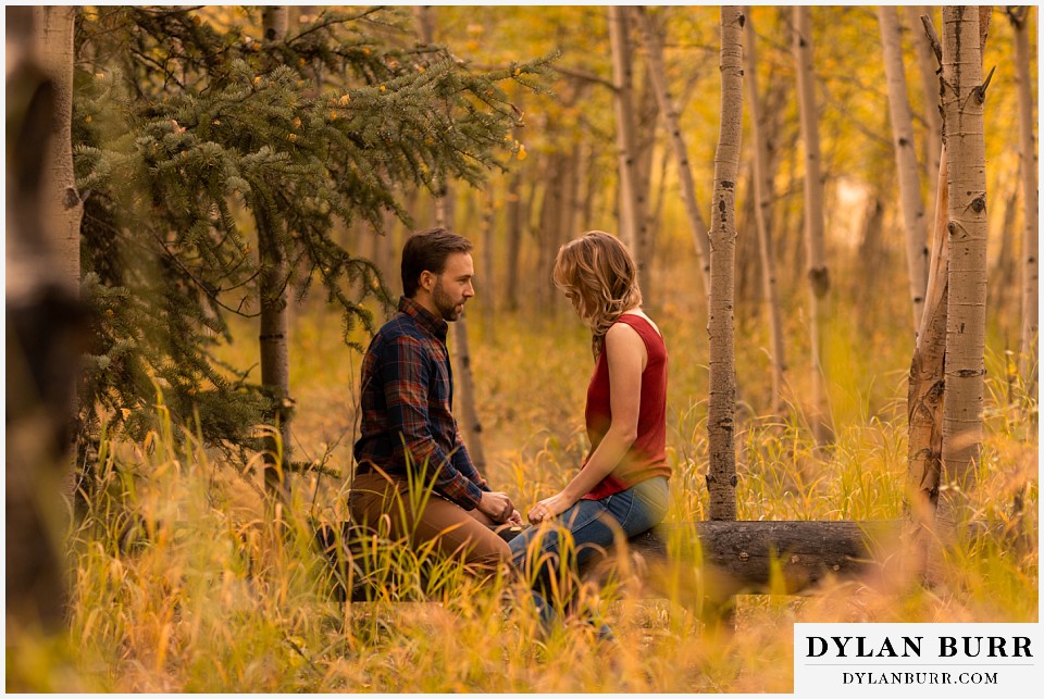 fall engagement photos in colorado couple sitting on downed tree together