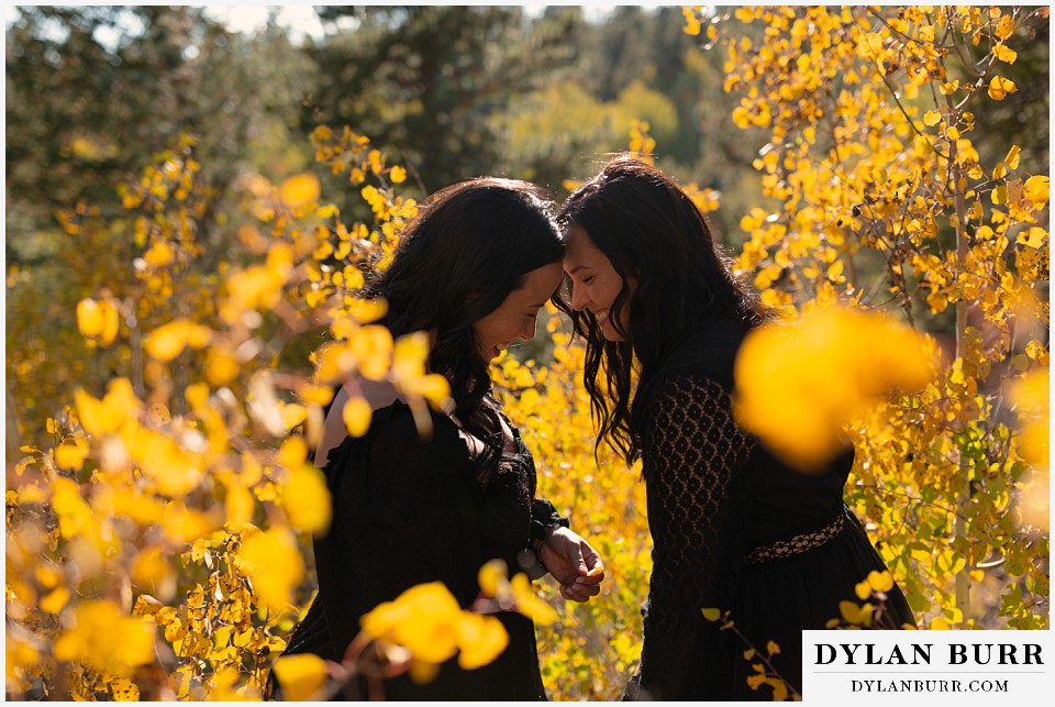 golden gate state park elopement wedding laughing together and connecting in gold leaves