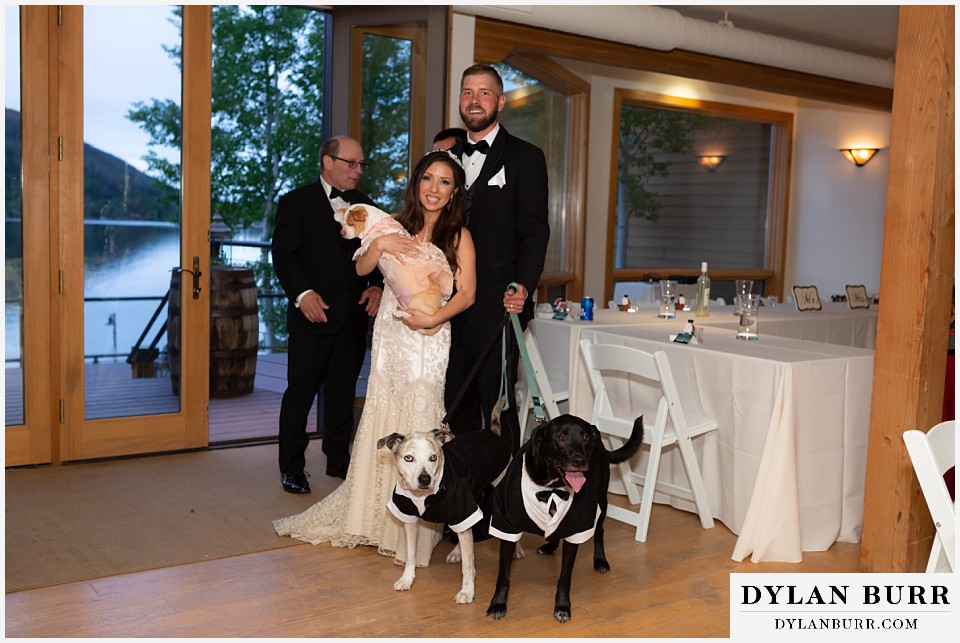 western riviera wedding grand lake colorado mountain wedding bride and groom with their dogs