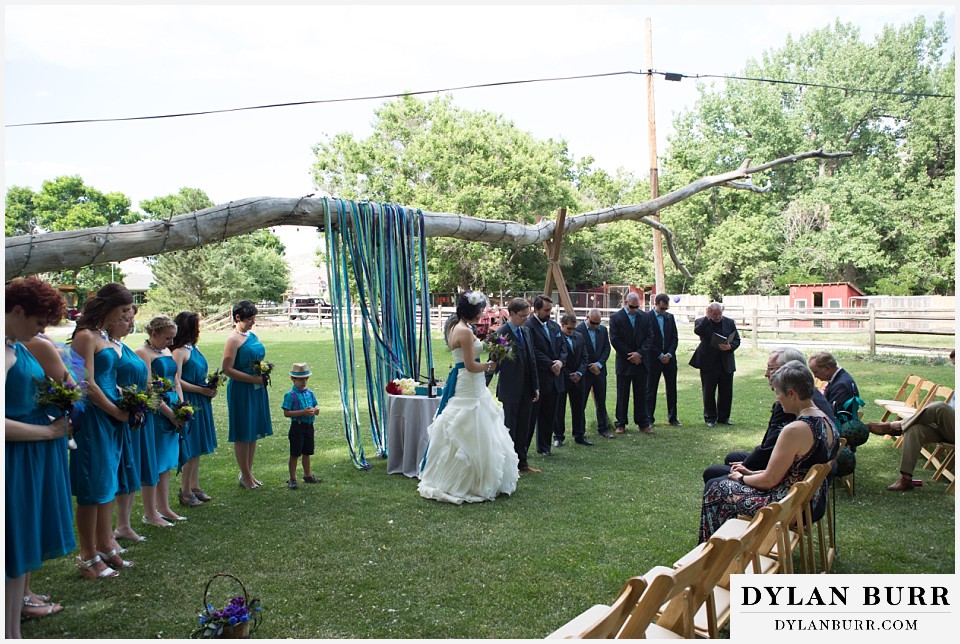 lyons farmette wedding ceremony view with large tree