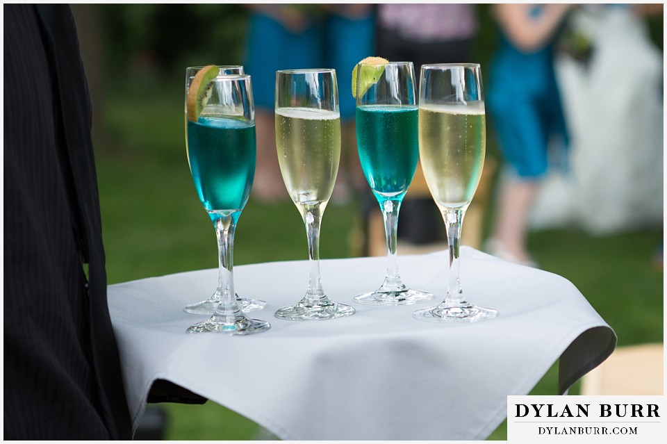 lyons farmette wedding champagne with wedding colors