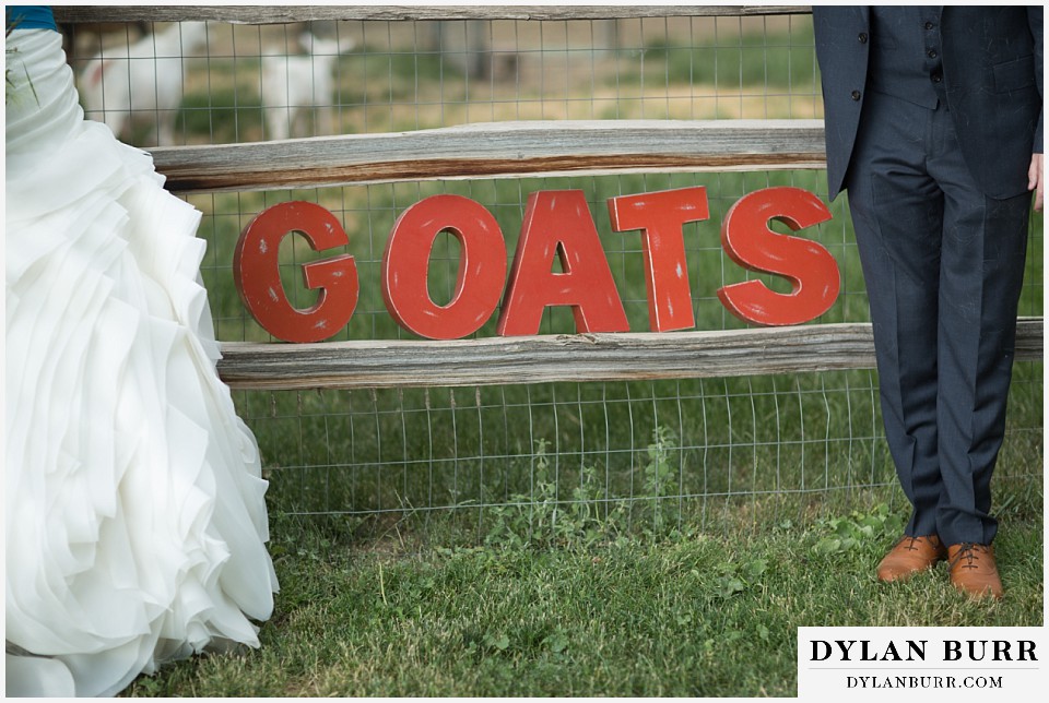 lyons farmette wedding goats letters sign