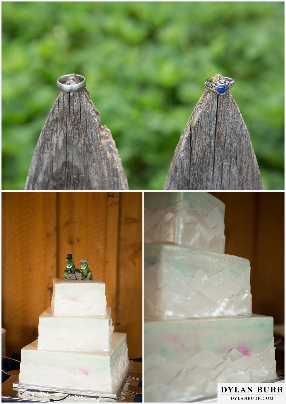 lyons farmette wedding wedding rings on old fence posts wedding cake with dinosaur topper