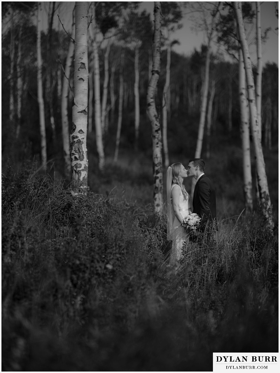 personal mountain home colorado wedding wedding couple kissing in aspen trees black and white