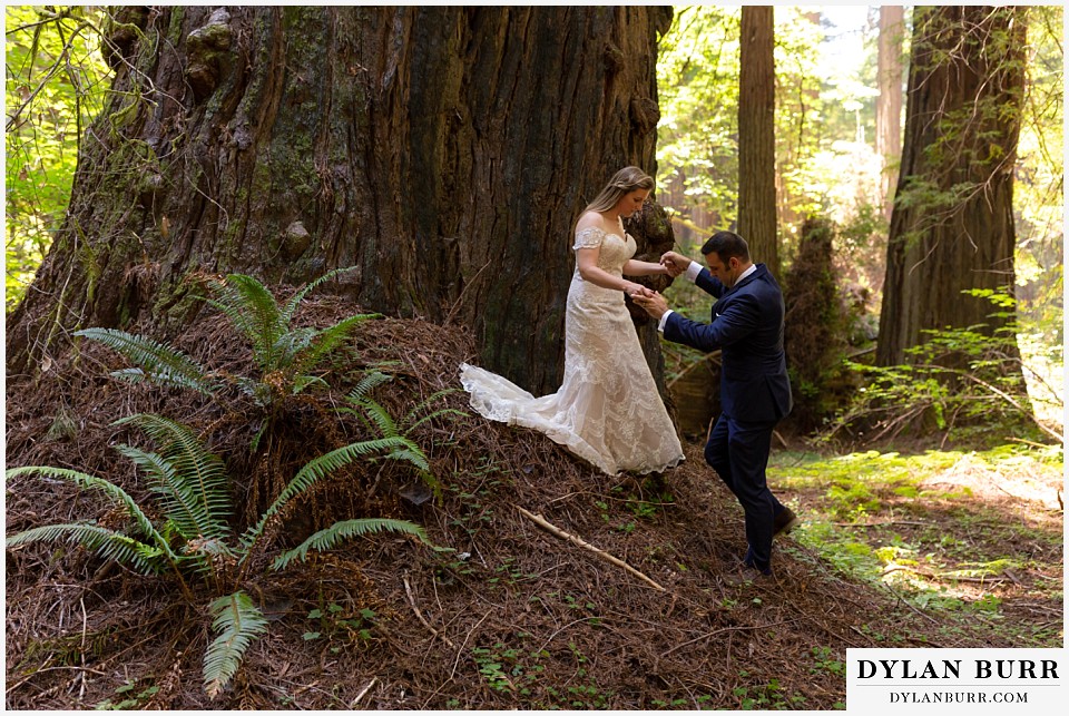 redwood forest wedding elopement avenue of the giants california bride and groom climbing down tree