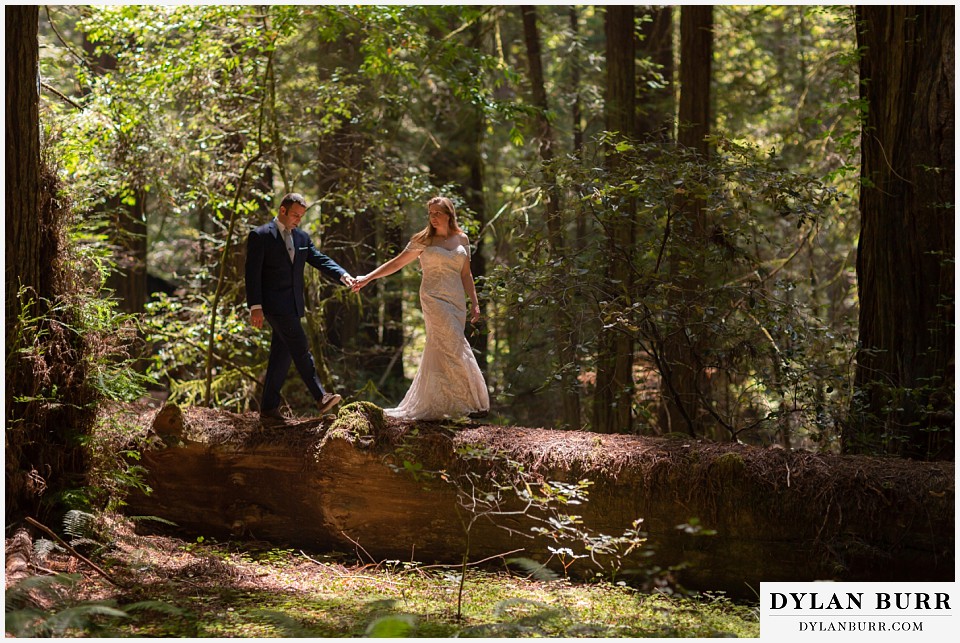 redwood forest wedding elopement avenue of the giants california bride and groom walking across fallen tree