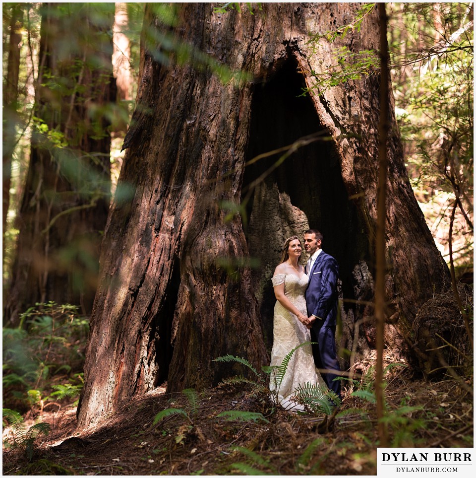 redwood forest wedding elopement avenue of the giants california bride and groom standing side a giant standing redwood tree
