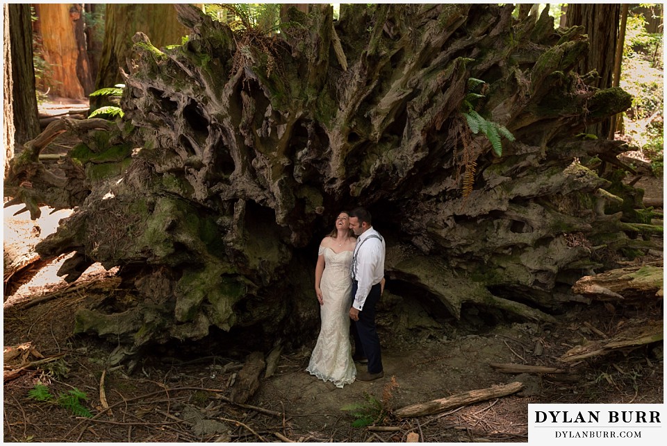 redwood forest wedding elopement avenue of the giants california bride and groom laughing in front of giant fallen tree