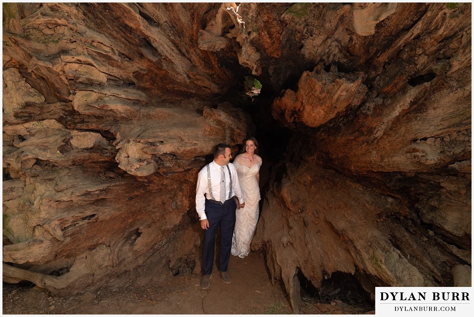 redwood forest wedding elopement avenue of the giants california bride and groom walking out of giant fallen tree