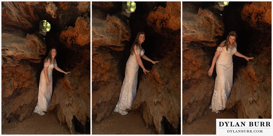 redwood forest wedding elopement avenue of the giants california bride looking around inside fallen tree