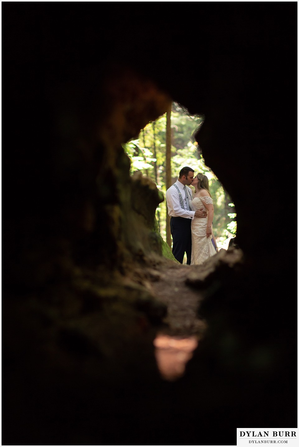 redwood forest wedding elopement avenue of the giants california bride and groom kissing seen through a giant tree