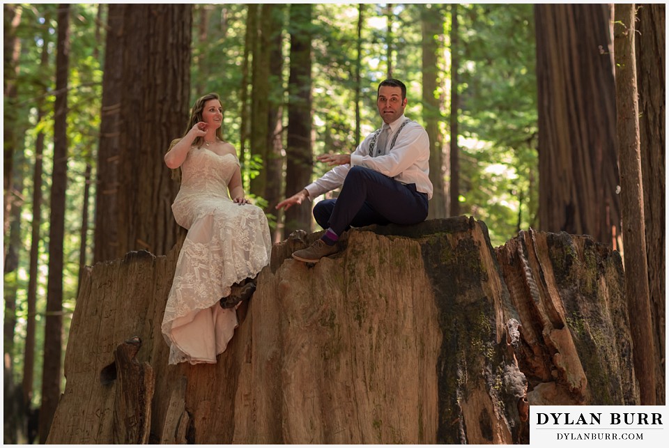 redwood forest wedding elopement avenue of the giants california bride and groom on stump being goofy