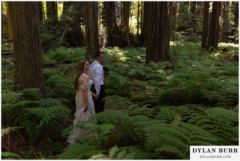 redwood forest wedding elopement avenue of the giants california bride and groom walking into ferns