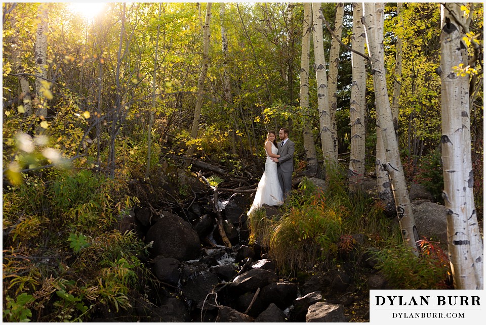 rocky mountain national park elopement wedding wide view of newlyweds in forest with sunlight